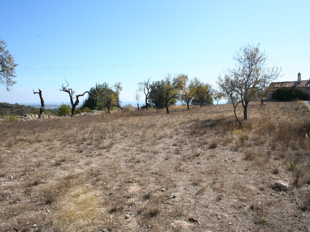 Plot of land with approved project