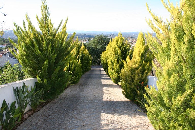 entrance
