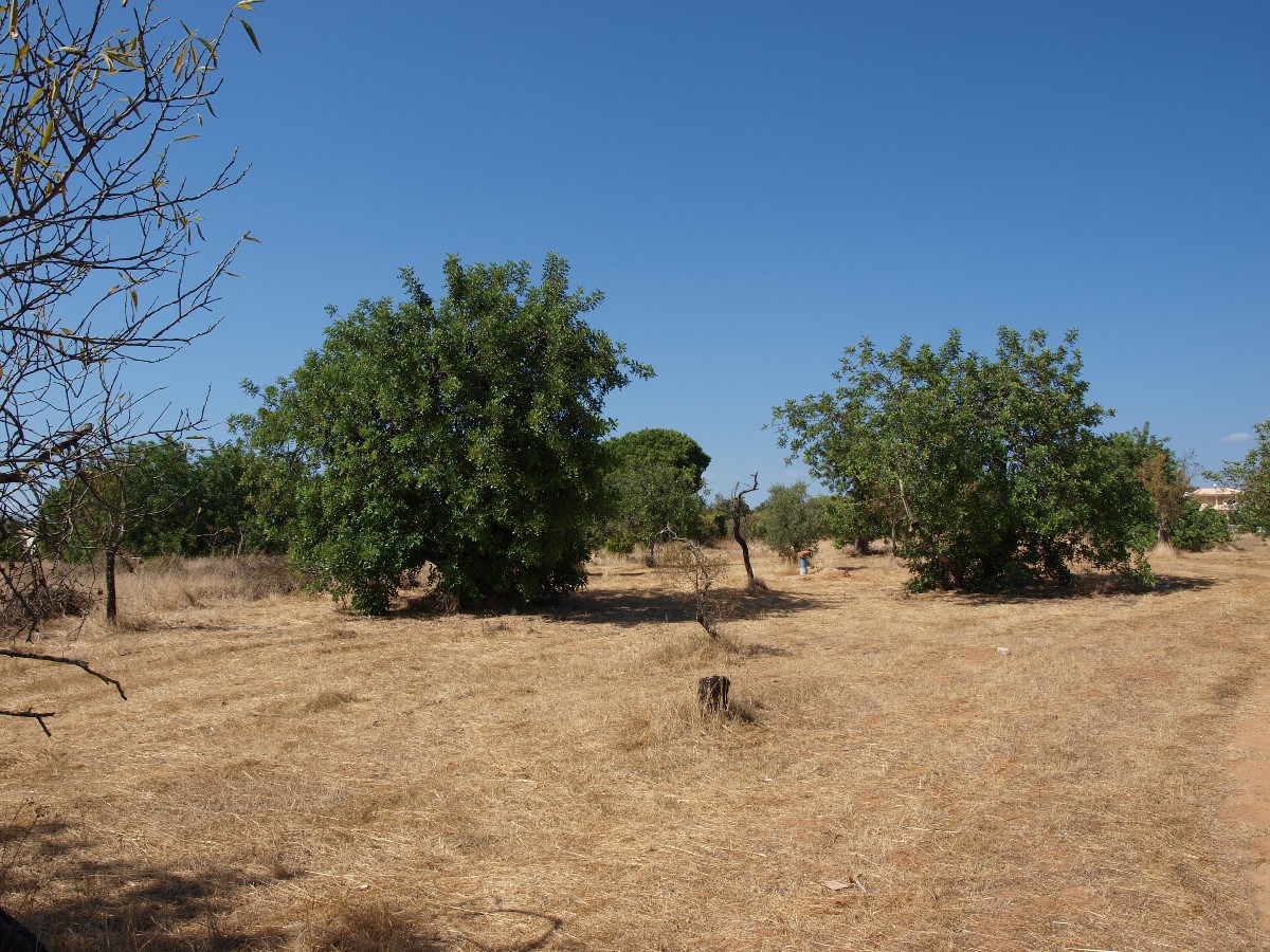 South-facing Plot with approved Project near Vilamoura