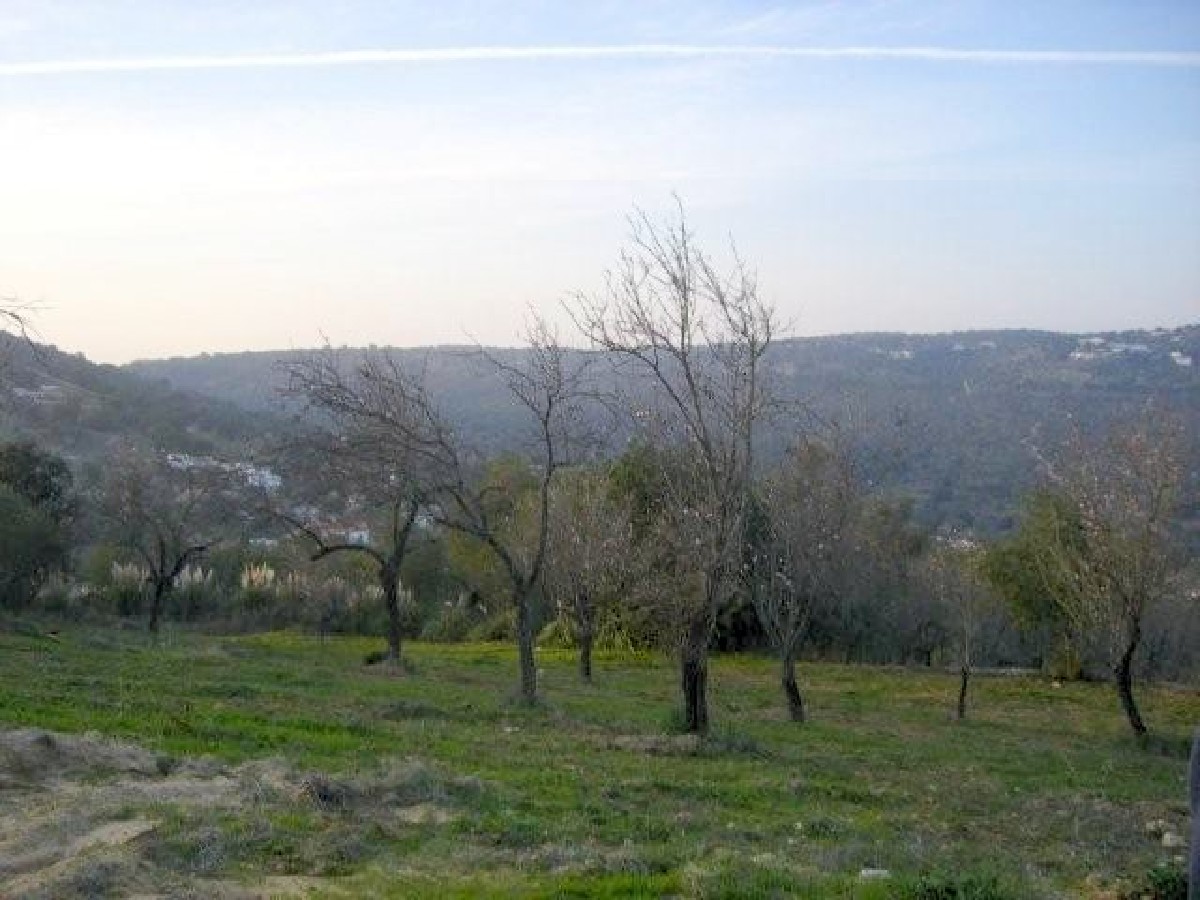 Good size plot with approved project for a contemporary 4-bedroom villa 