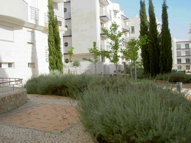 Modern two and three bed apartments with private roof terrace