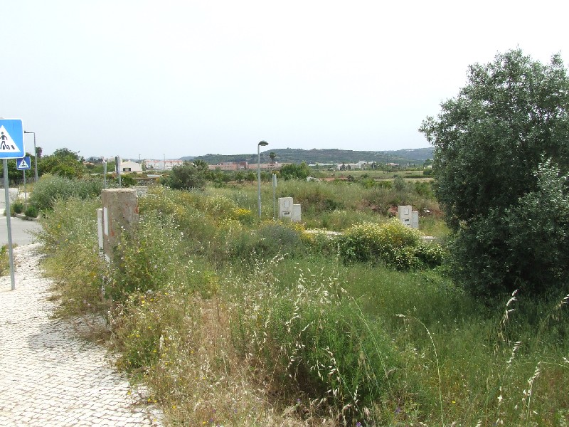 plot