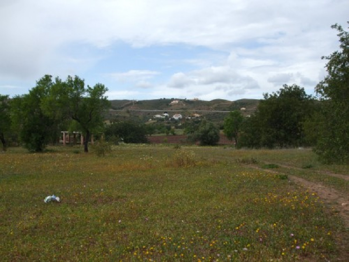 Large, level plot with approved project in a lovely area