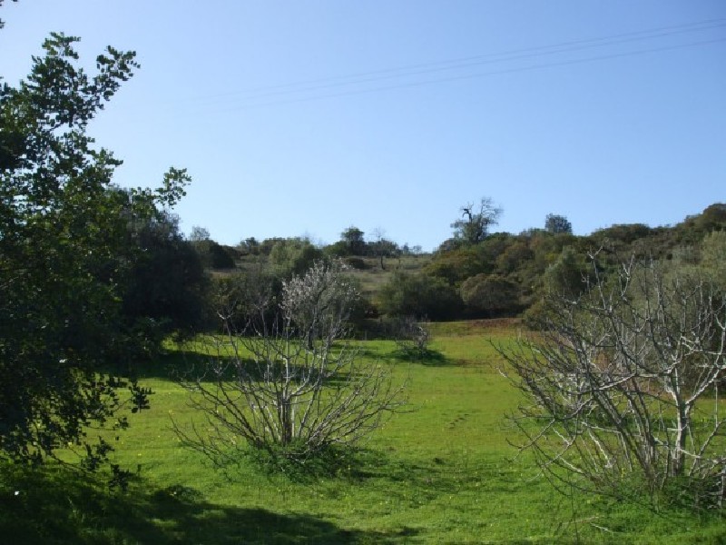 plot 1