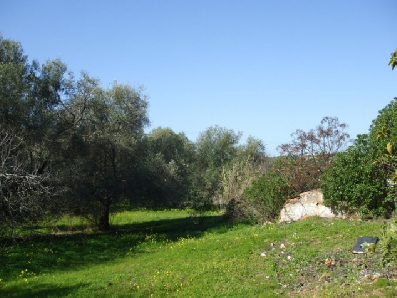 plot 2