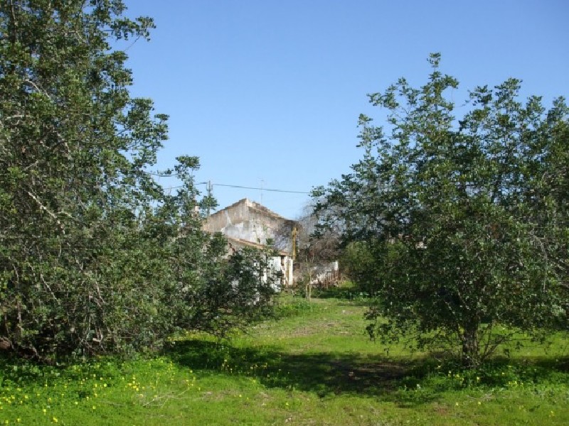 plot 