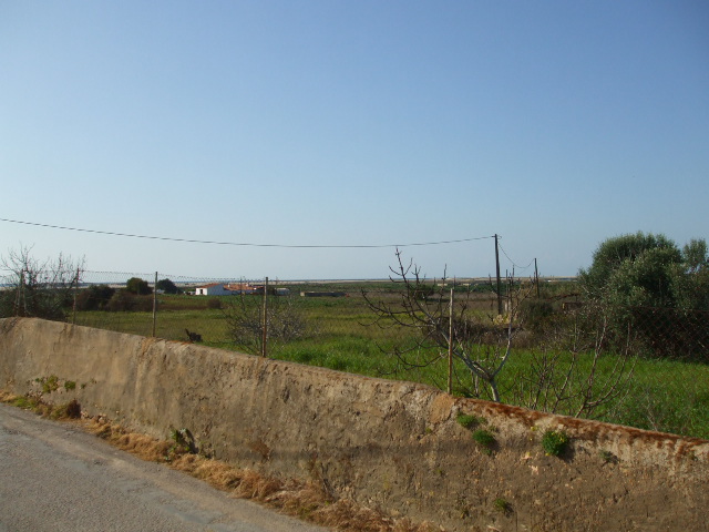 plot 