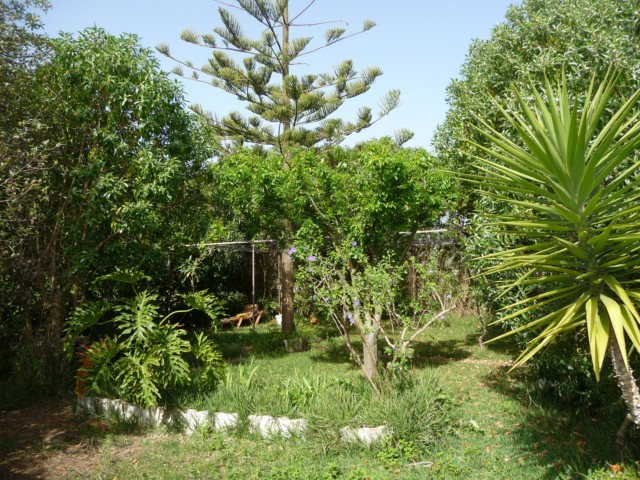 Large plot with ruin for construction of small bungalow with pool 