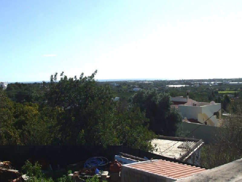 views 