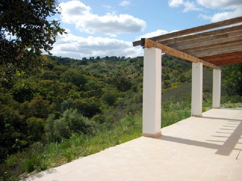 terrace