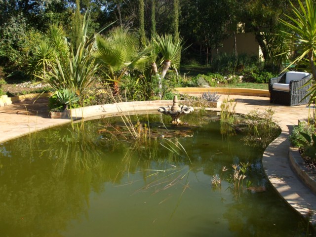 garden