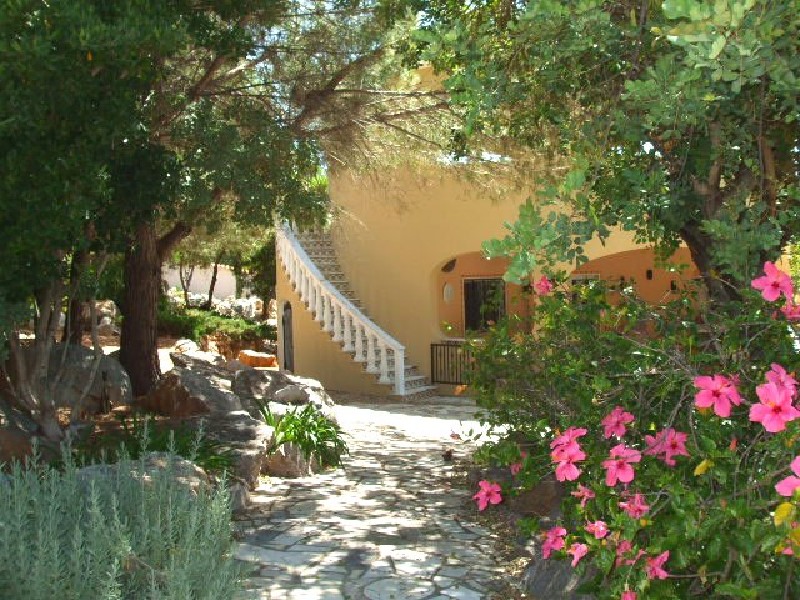 garden