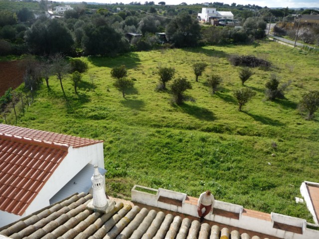 surrounding
