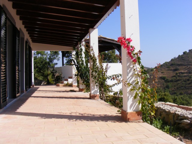 terrace