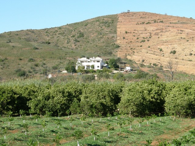 Villa near Tavira with swimming pool and large plot with natural lake and wonderful views