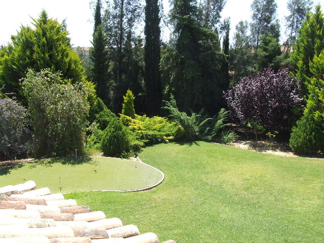 garden