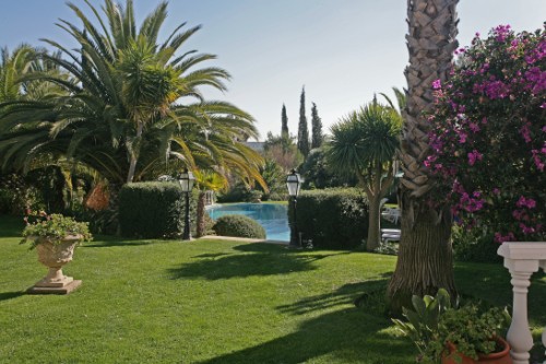 garden