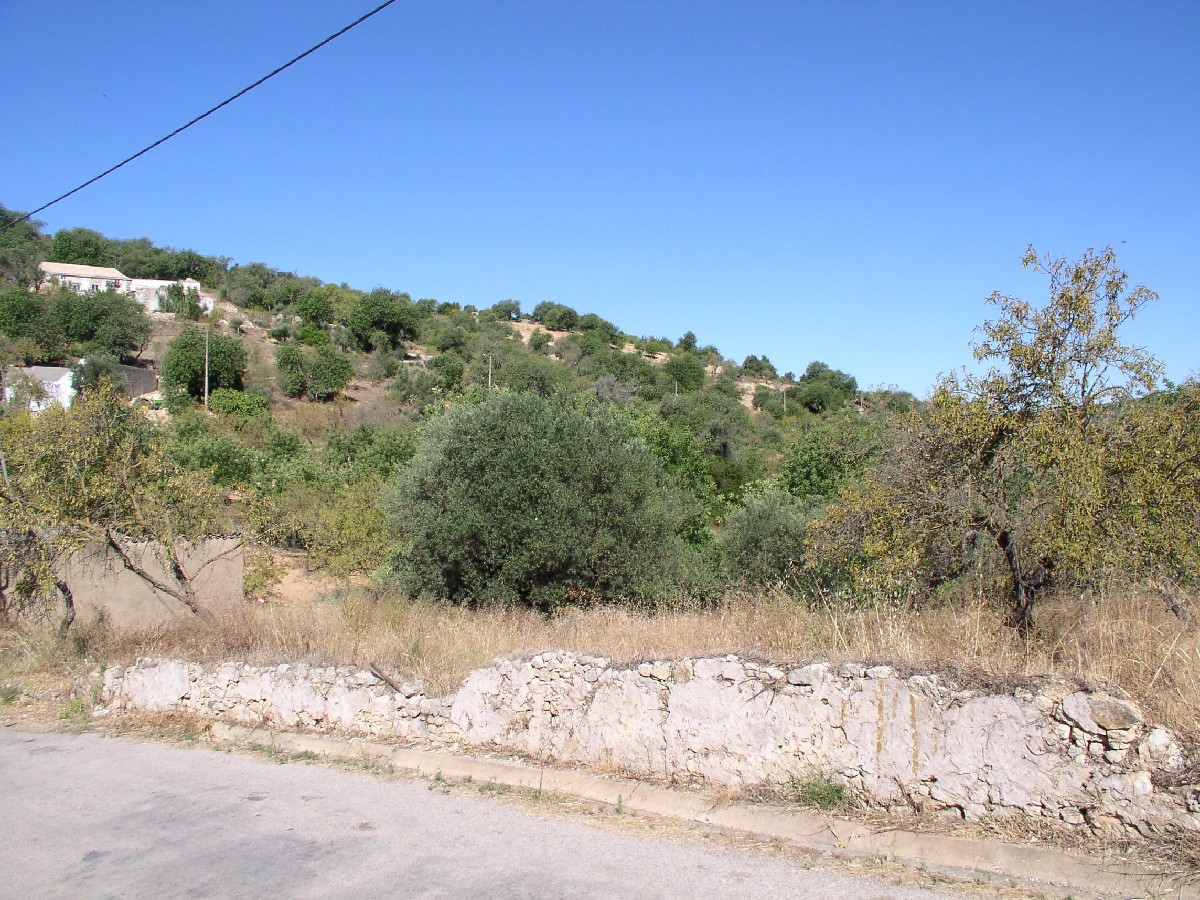 plot for sale Parragil plot for sale Parragil