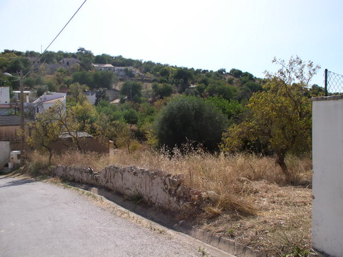 plot