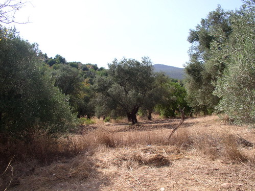 plot 
