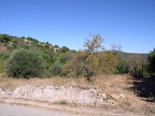 plot
