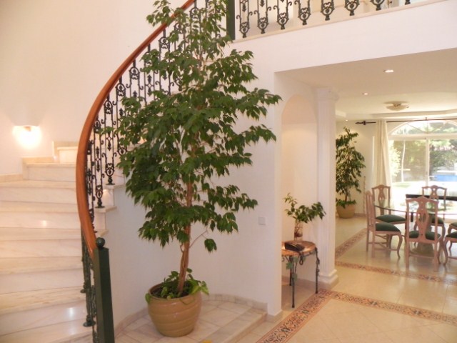 stairs