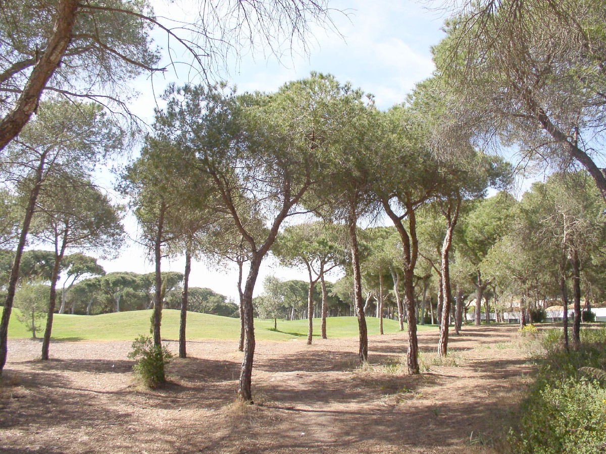 Building plot at the golf course