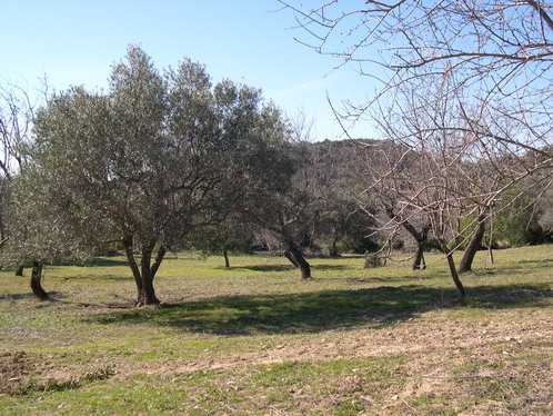 Nice building plot close to the quaint village of Loule