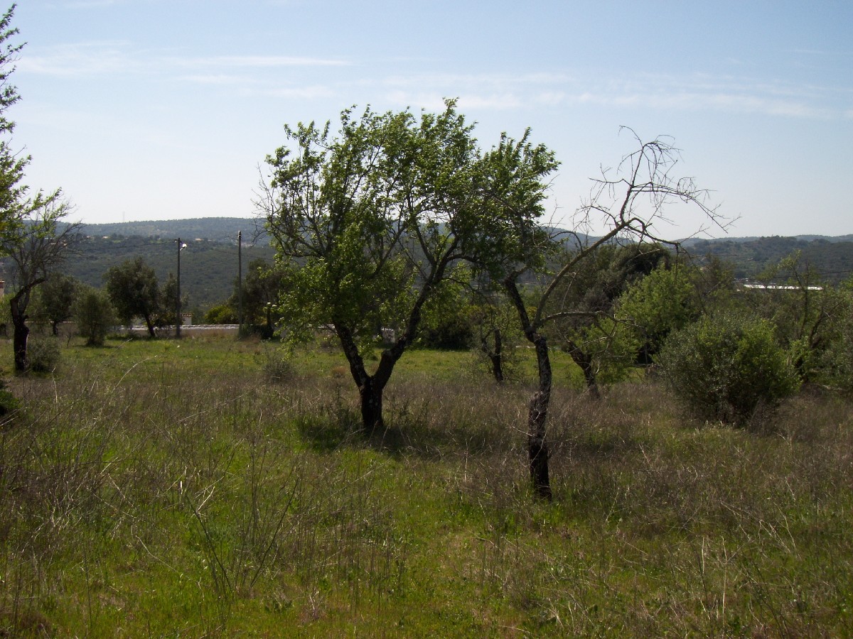 Plot with building licence for a 400 m2 villa Plot with building licence for a 400 m2 villa