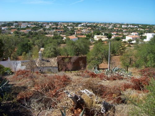 Nice south facing plot with sea views