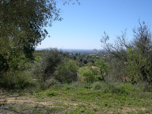 plot 2